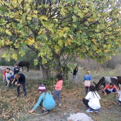 Descobrir la natura vora els camins
