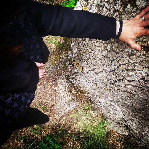 El Bosc com a Temple