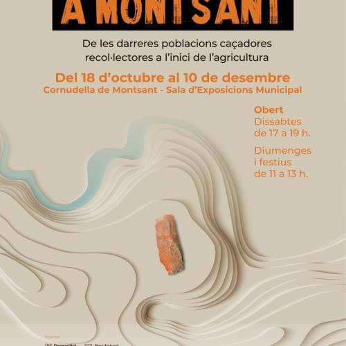 Exposició - Arqueologia a Montsant. 