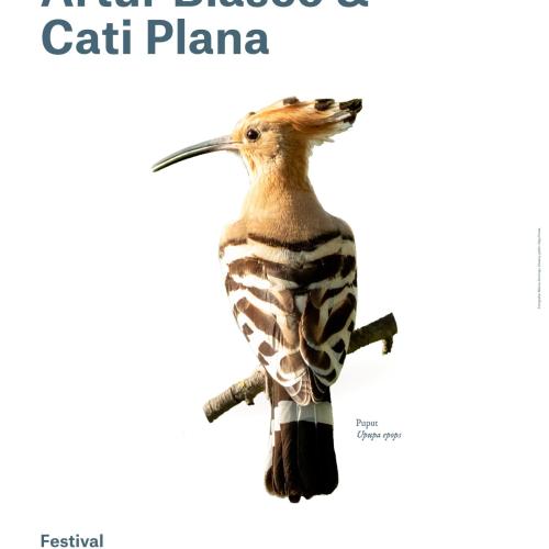 cartell blasco plana