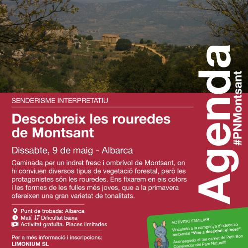 Descobreix les rouredes de Montsant