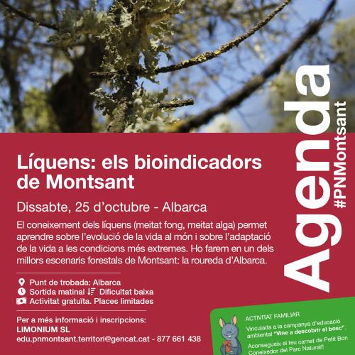 Líquens: els bioindicadors de Montsant