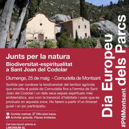 Construim la Xarxa del Parc a Sant Joan del Codolar