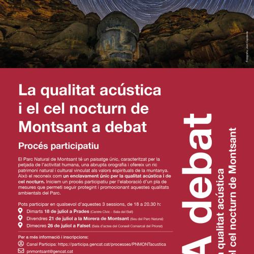 La qualitat acústica i el cel nocturn de Montsant a debat