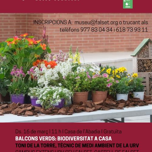 Balcons verds: biodiversitat a casa