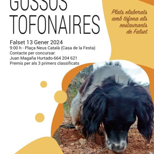 III Concurs de Gossos Tofonaires