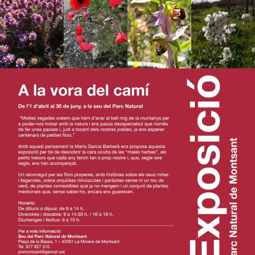 Exposició - A la vora del camí