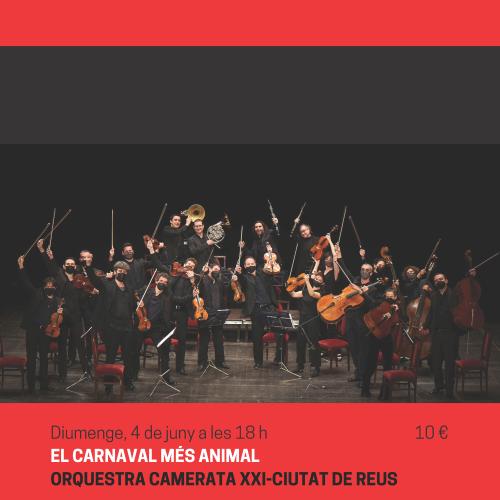 El Carnaval més animal - Orquestra Cameratta XXI