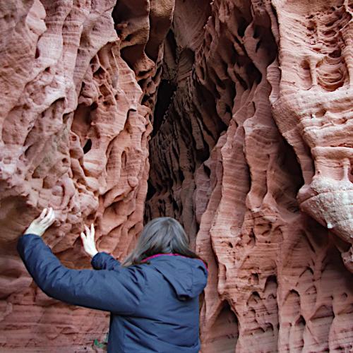 Natura, paisatge i geologia - Senderisme interpretatiu