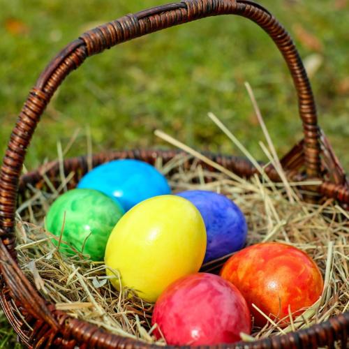 A la recerca dels ous de Pasqua - Dia de la mona entre natura i tradicions