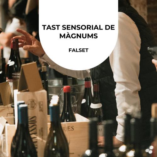 TAST SENSORIAL DE MAGNUMS + THE WINE TRUCK