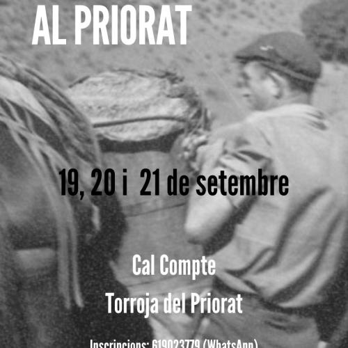 TALLER HISTÒRIA DEL VI AL PRIORAT