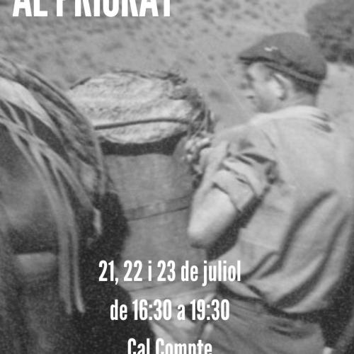 Curs d'història del vi al Priorat amb Anna Figueras
