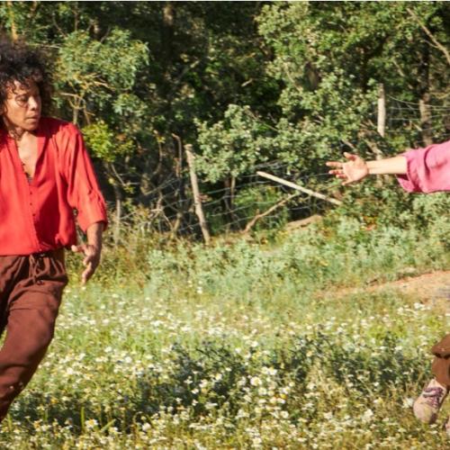 cartell experimental