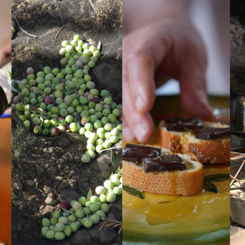 Visita dos molins + berenar de pa amb oli i xocolata! Vinícola del Priorat + Cooperativa Cabacés. 
