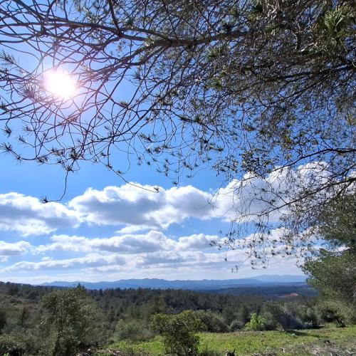 Caminant pel Priorat - Senderisme interpretatiu