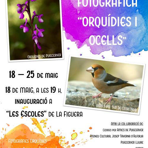 EXPOSICIÓ FOTOGRÀFICA “ORQUÍDIES I OCELLS”
