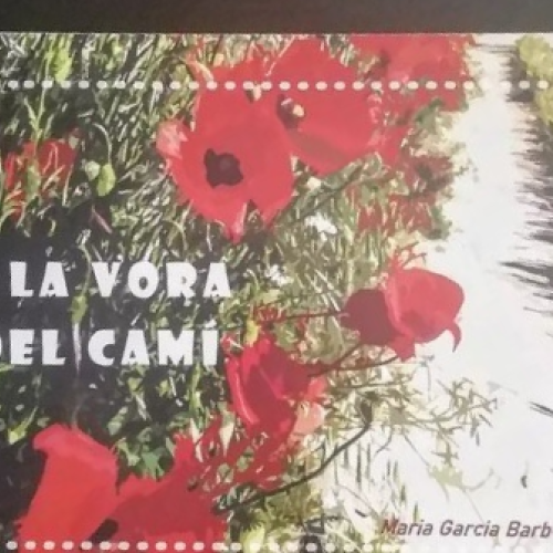 A la vora del camí