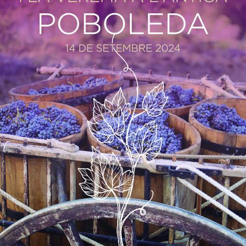 XXIV Edició Fira del vi i la verema a l'antiga Poboleda