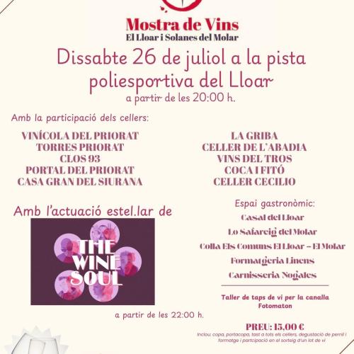 Mostra de vins de la Vila del Lloar i Solanes del Molar
