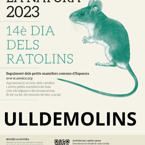 La fauna salvatge