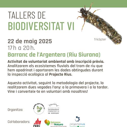 Taller de biodiversitat: Projecte Rius