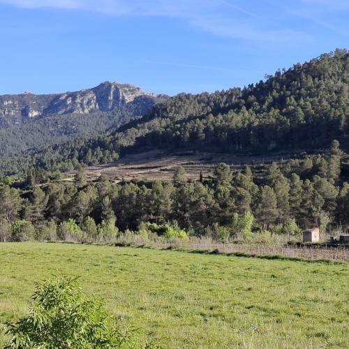 Mirador de Llaberia, sortida interpretativa