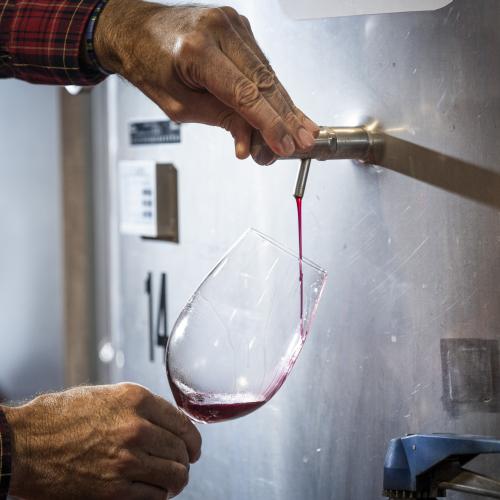 Experiència enoturística a Coca i Fitó