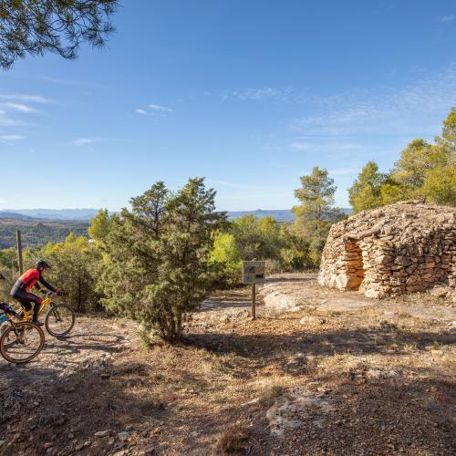 Origen: descobrir Priorat