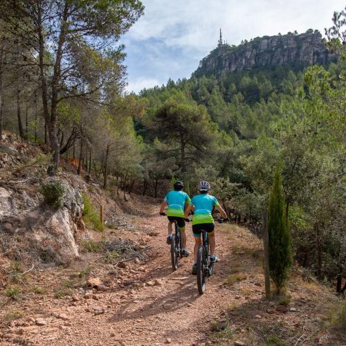 Origen: descobrir Priorat