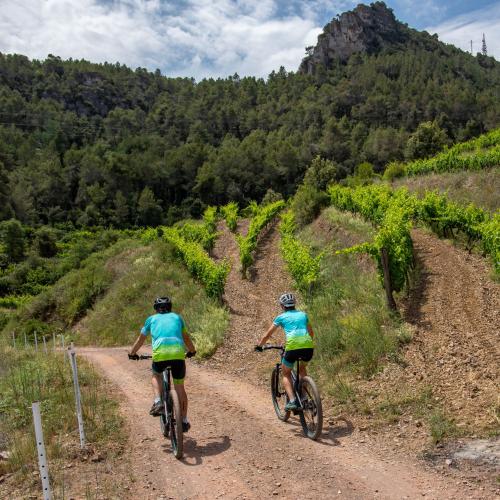Fira del Vi, tasta Priorat