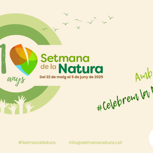 Taller de biodiversitat: Projecte Rius