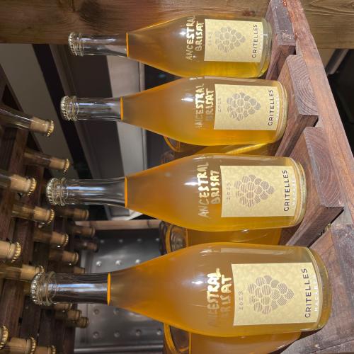 Tast de Vins Nous i Vins de Barrica