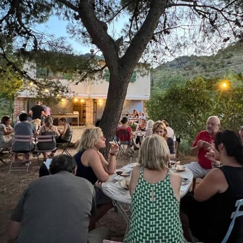 BLANCS I ESTELS A MAS ARDÈVOL