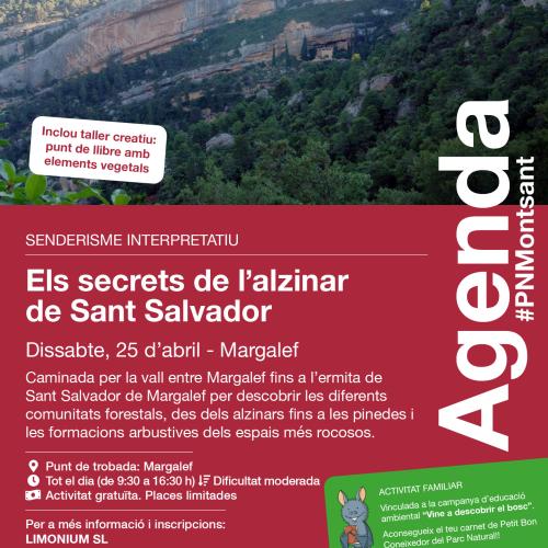 Vine a descobrir els secrets de l'alzinar del barranc de Sant Salvador.