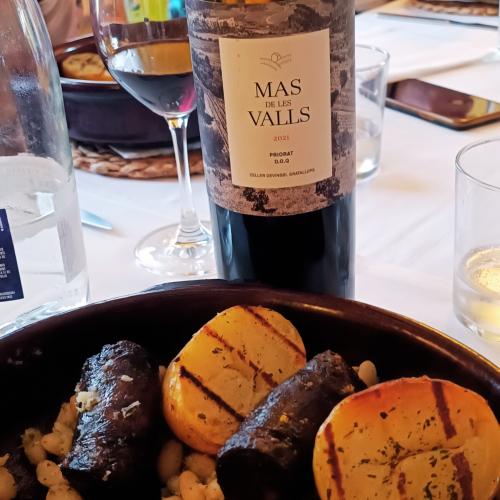 Taller de poda de vinya i calçotada al Priorat
