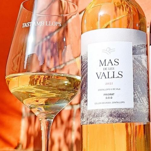 Tast estrena del nostre Mas de les Valls blanc 2022