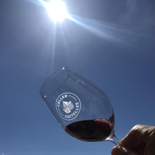 Tast de Vins Nous i Vins de Barrica