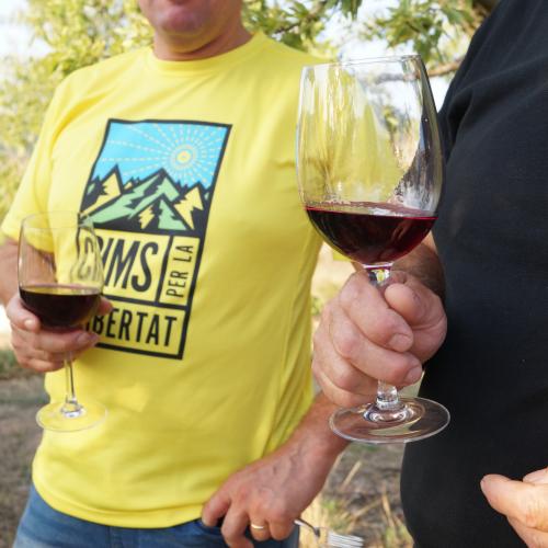 Tast de vins d'Ulldemolins i dansa amb Gisela de Foc