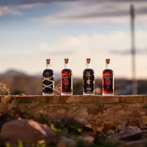 Tast de licors artesans de Tres Cadires i maridatge amb productes de Mosaic de Secà