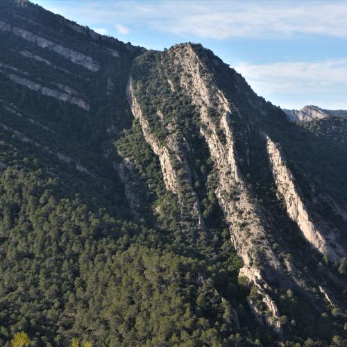 L'origen de Montsant. Itinerari geològic pels entorns d'Ulldemolins
