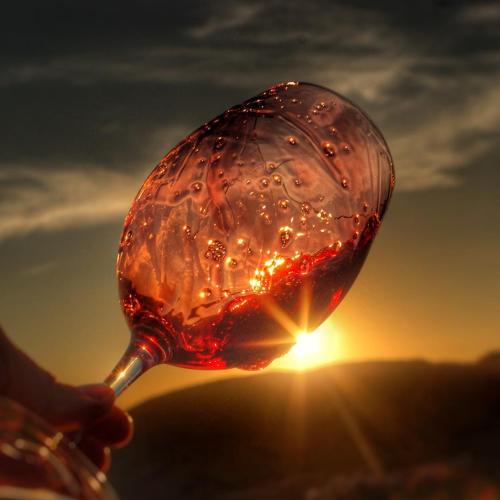 Solstice 2024 in Priorat: hiking between vineyards + sunset wine tasting, 19 and 20 June