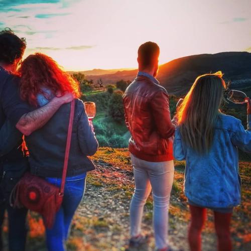 Solstice 2024 in Priorat: hiking between vineyards + sunset wine tasting, 19 and 20 June