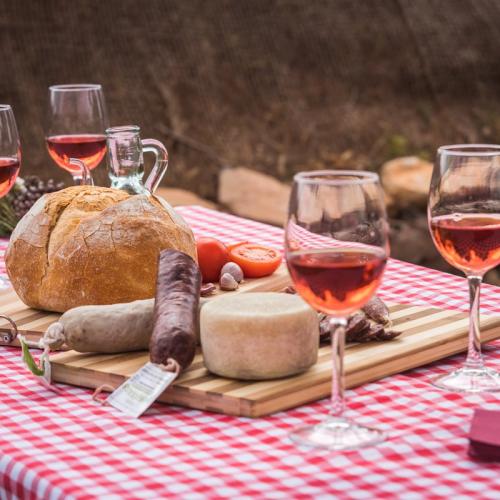 TAST DE PAISATGE DEL PRIORAT