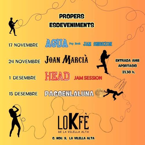 Música en viu 