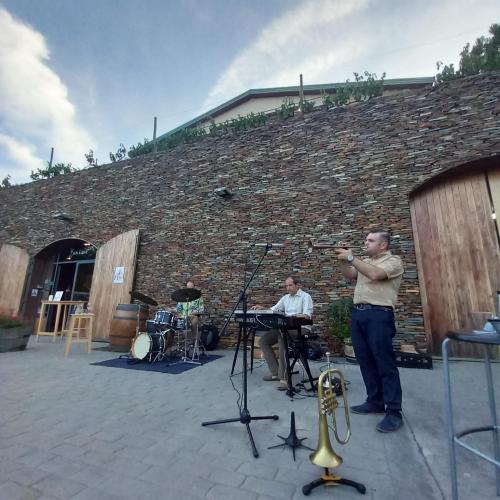 Km. 11,5 Fest: I Cicle de música i vins a Buil & Giné