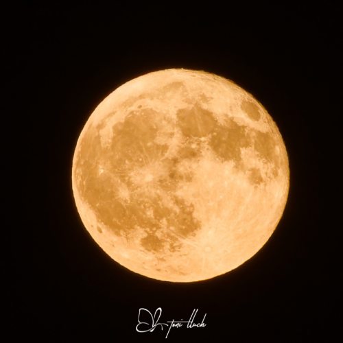 SORTIDA FOTOGRÀFICA NOCTURNA: ECLIPSI, VIA LÀCTIA I PERSEIDS 