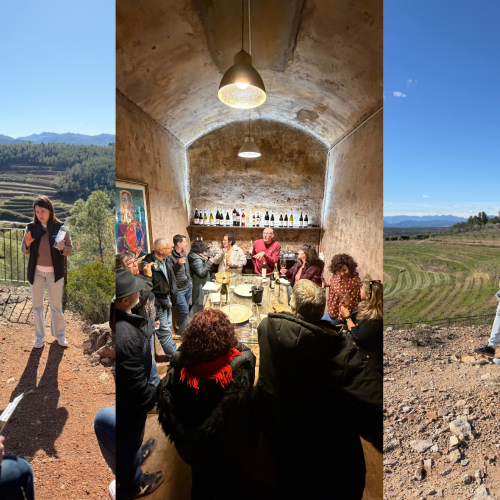 Visita Immersiva Coca i Fitó