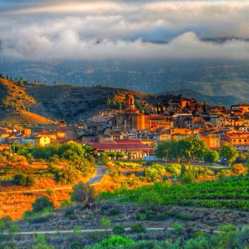 SOLSTICE 2023: VINEYARD WALK + SUNSET WINE TASTING, 20-23 JUNE
