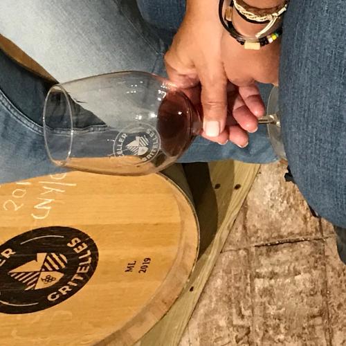 Immersió als Vins del Montsant Nord